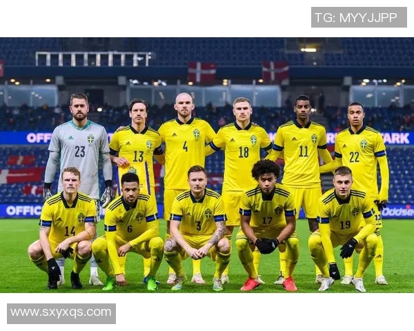 韩国与瑞典足球赛比分分析及精彩瞬间回顾
